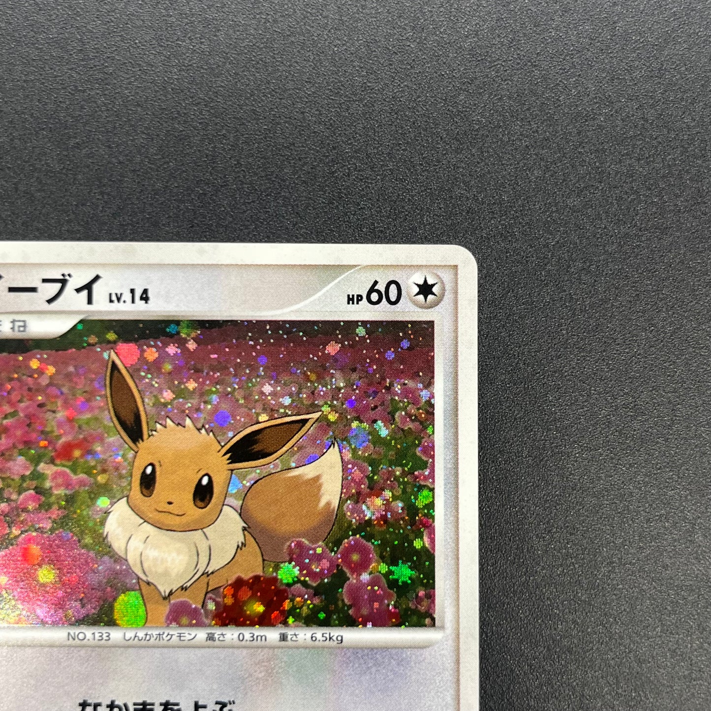 Eevee 063/DP-P Promo Trade Please event Pokemon Card
