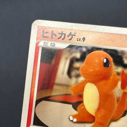 Bulbasaur 030/DPt-P Charmander Pokémon Center 10th Card