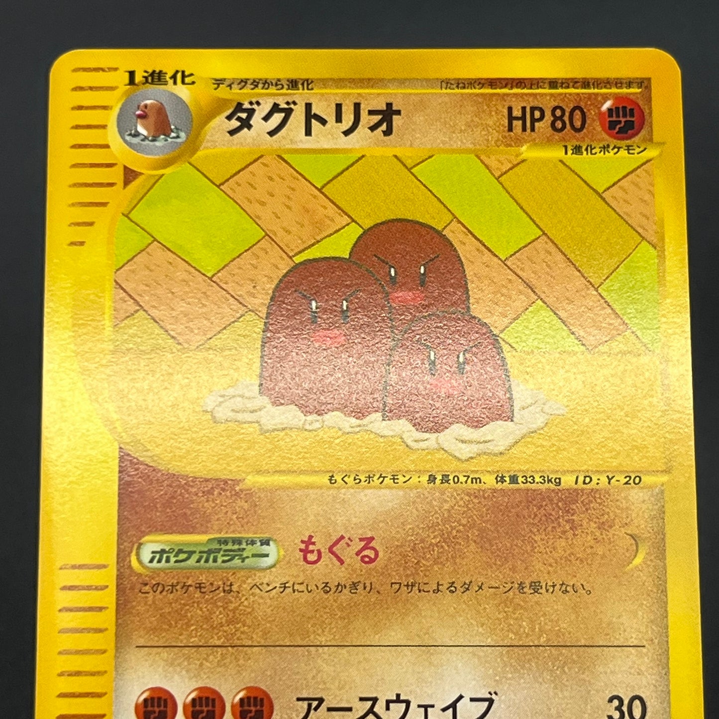Diglett 013/048 Dugtrio Web Miki Tanaka Pokémon Card