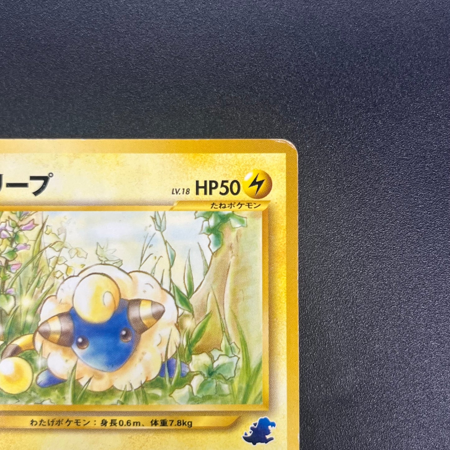 Mareep No. 179 Intro Pack Totodile Deck Pokémon Card