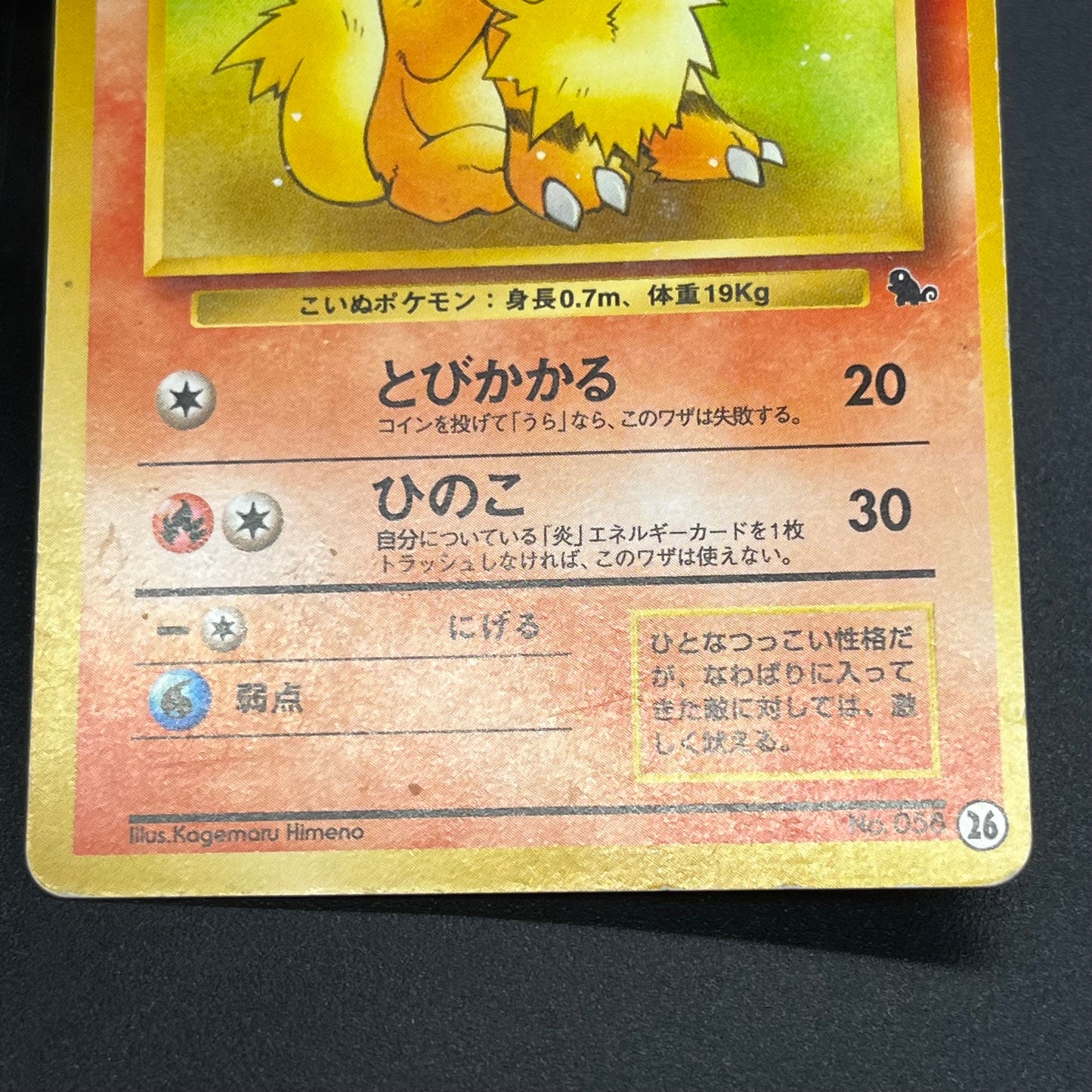 Growlith No. 058 Intro Pack Squirtle Japanese Pokémon Card