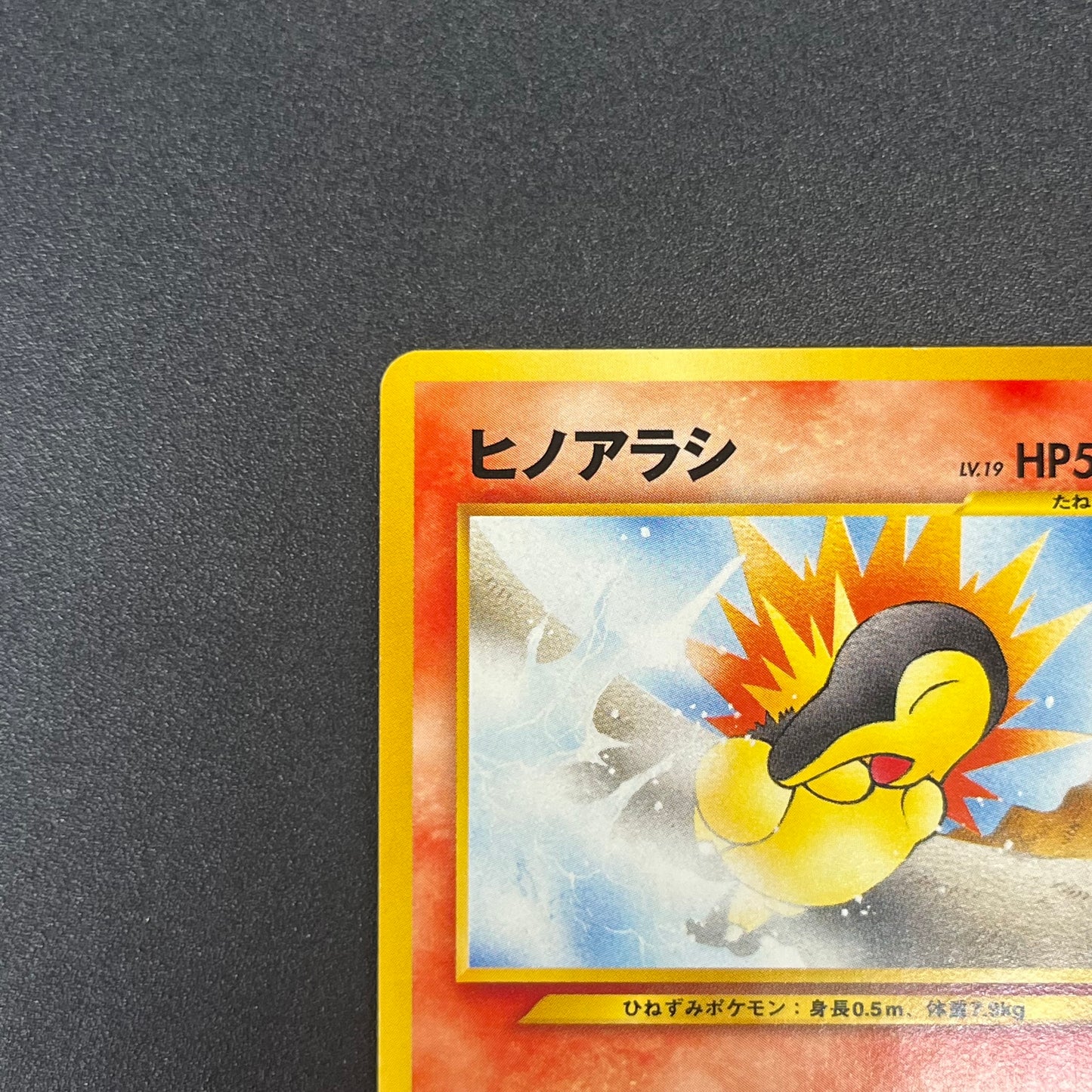 Cyndaquil 155 Intro Pack Neo Chikorita Deck Pokemon card