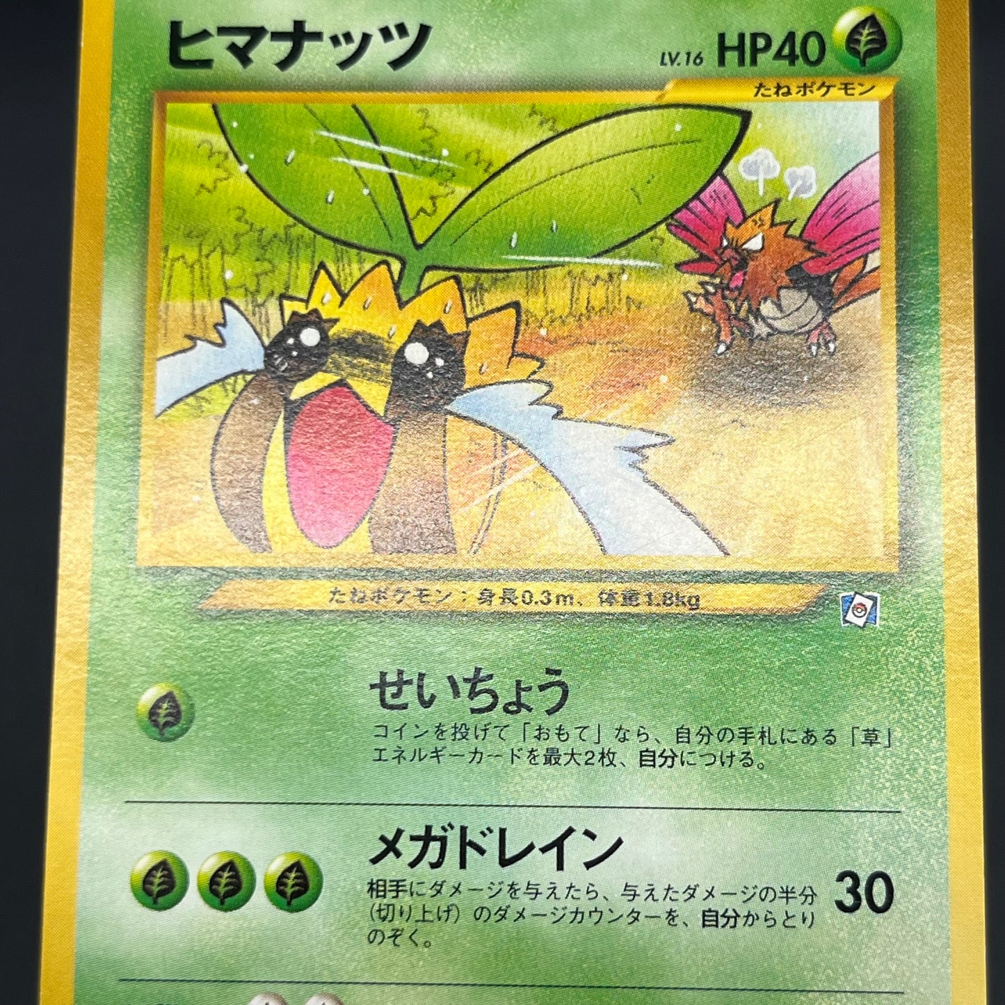 Sunkern 191 Natta Wake Vol.4 LP Promo Vintage Pokémon Card