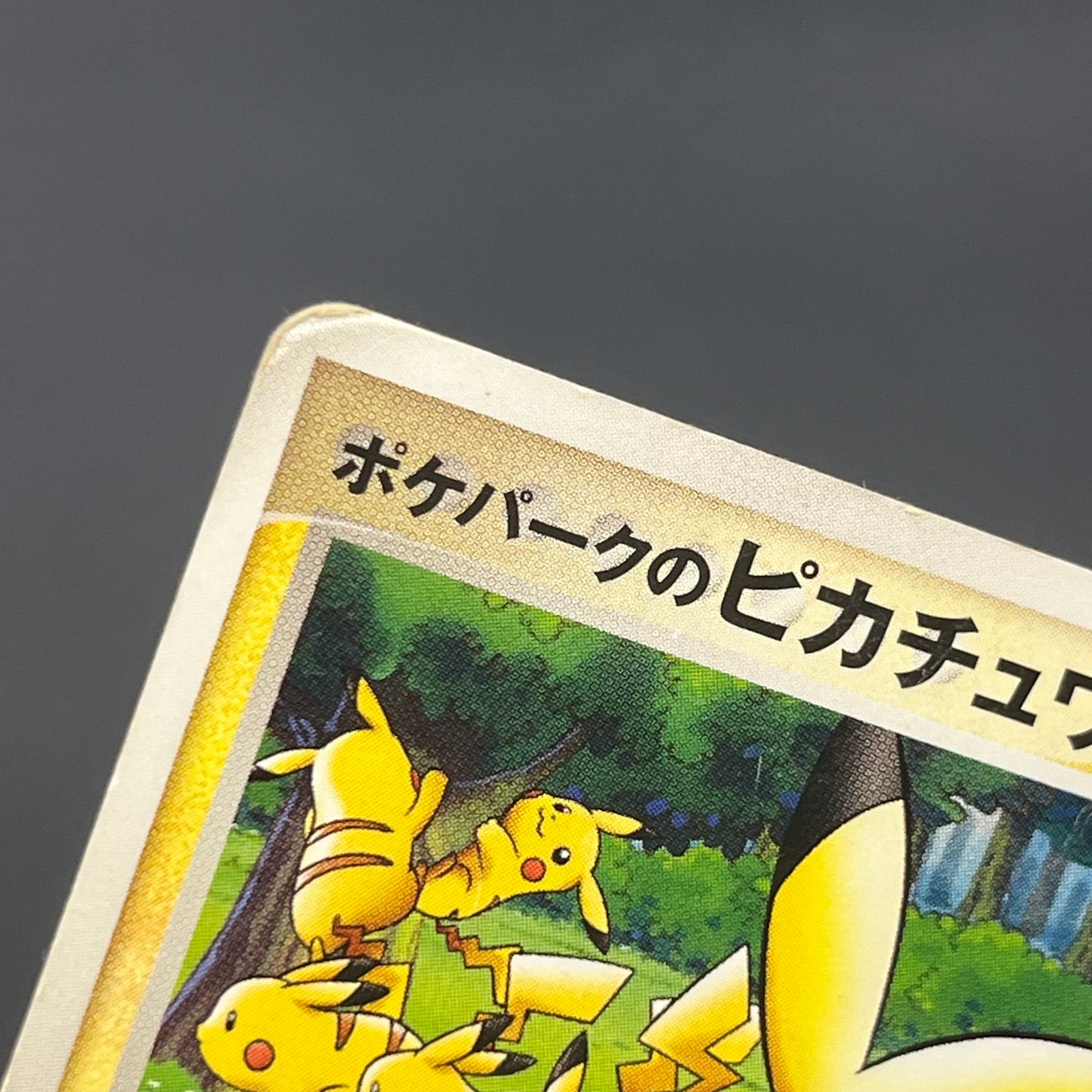 PokePark's Pikachu 043/PCG-P Promo Japanese Pokémon Card