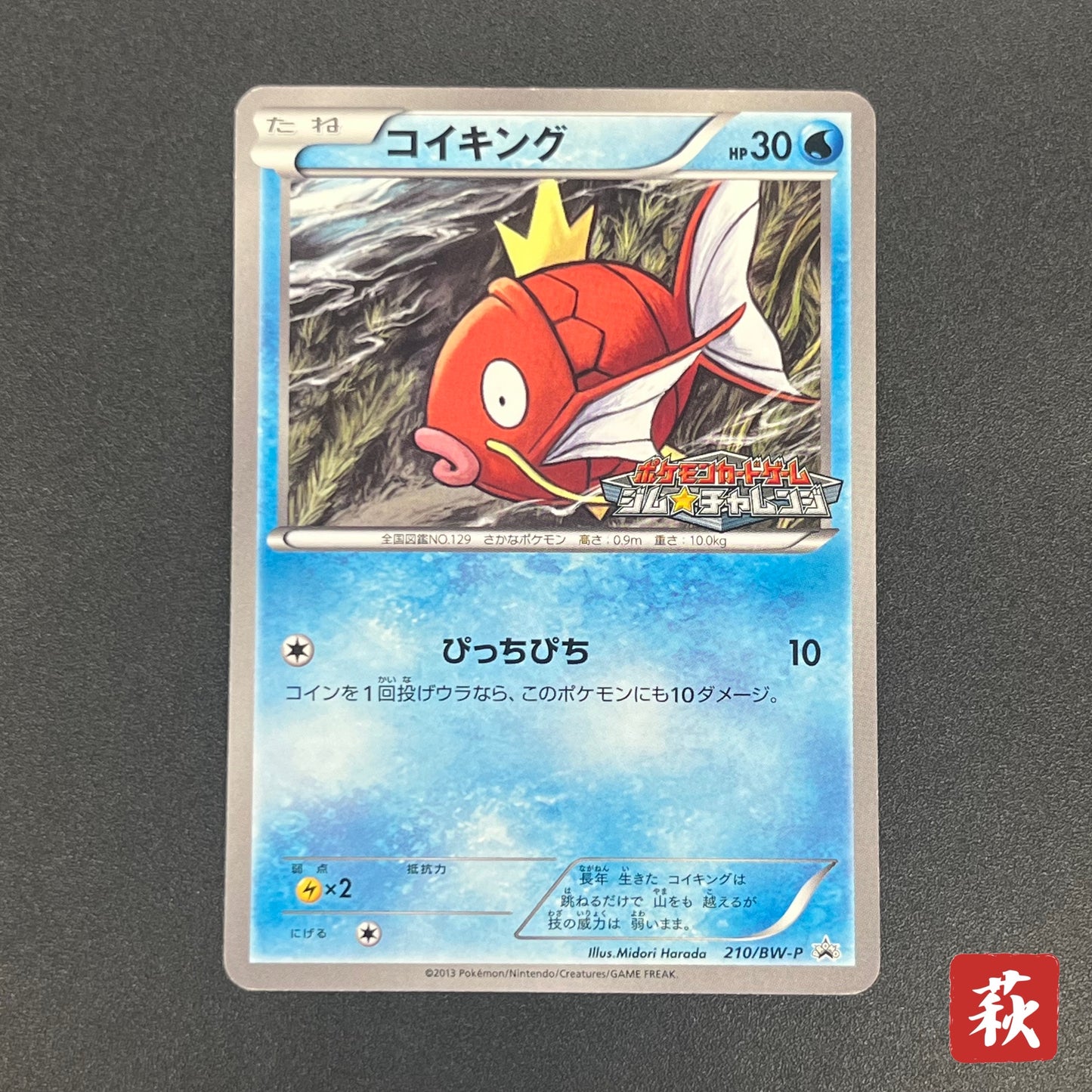 Magikarp Gym Challenge Promo 210/BW-P Japanese Card