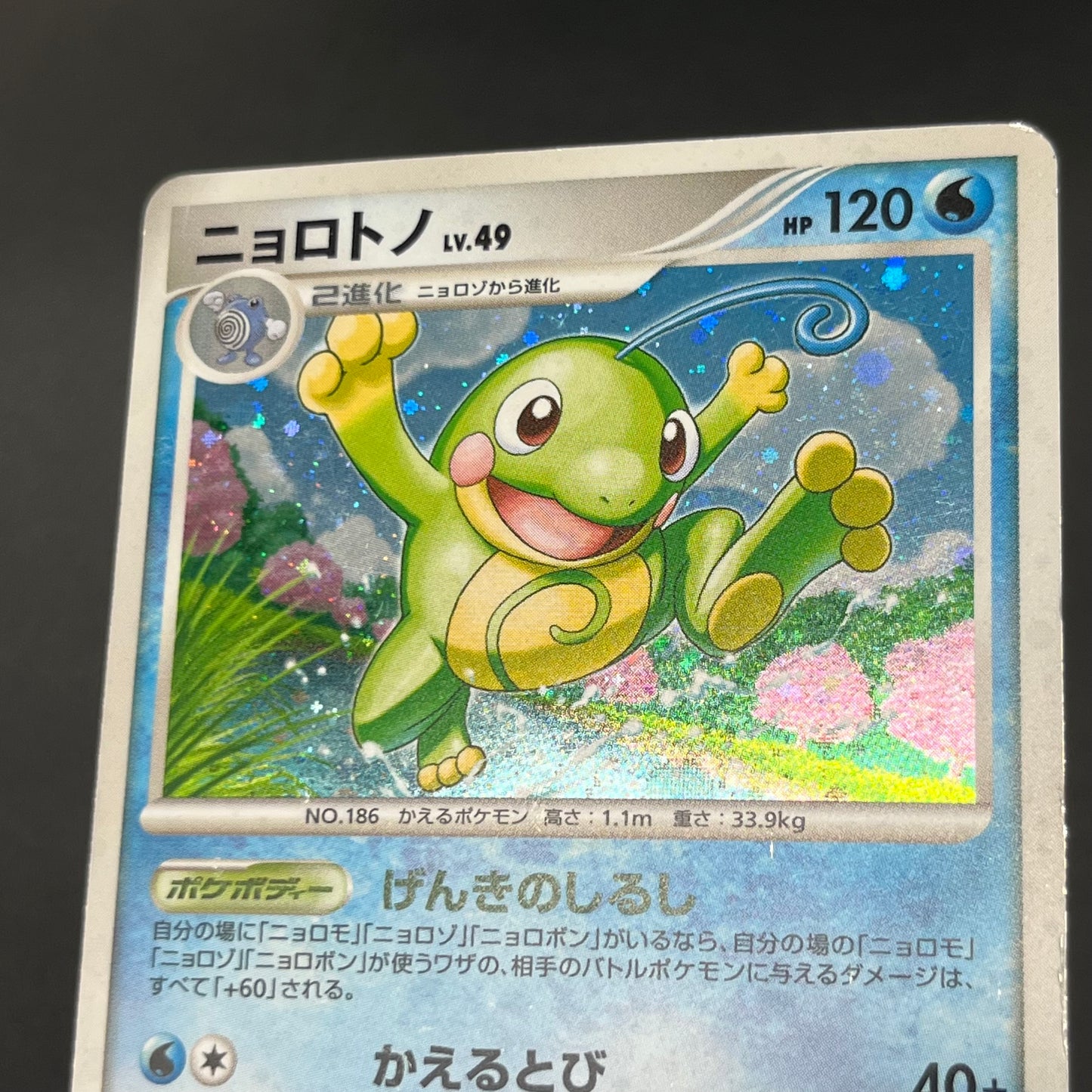 Politoed ex 027/106 & Politoed L1 etc 3set Pokemon Card