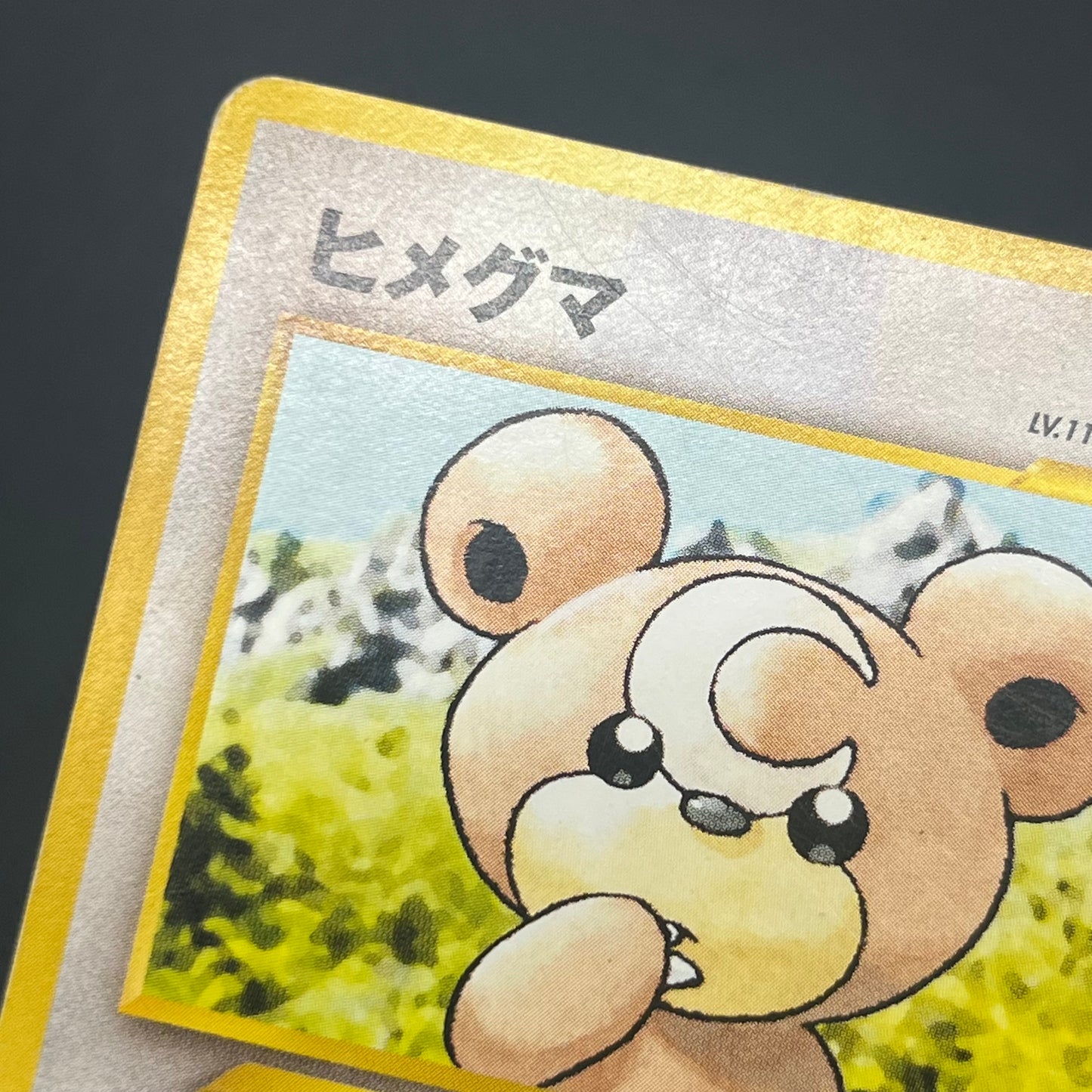 Teddiursa No. 216 Intro Pack Chikorita Deck Pokémon Card