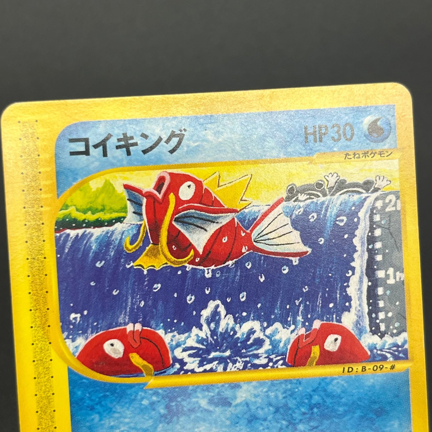 Magikarp 012/128 Komiya Tomokazu E series Pokémon Card