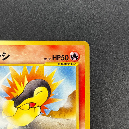 Cyndaquil 155 Intro Pack Neo Chikorita Deck Pokémon card