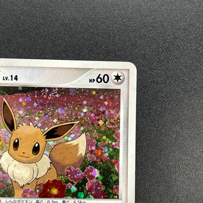 Eevee 063/DP-P Promo Trade Please event Pokemon Card