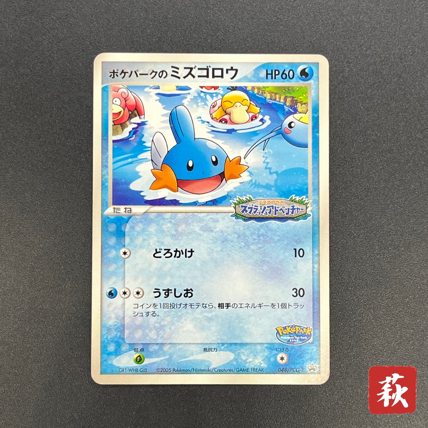 PokePark's Mudkip 048/PCG-P Promo Japanese Pokemon Card