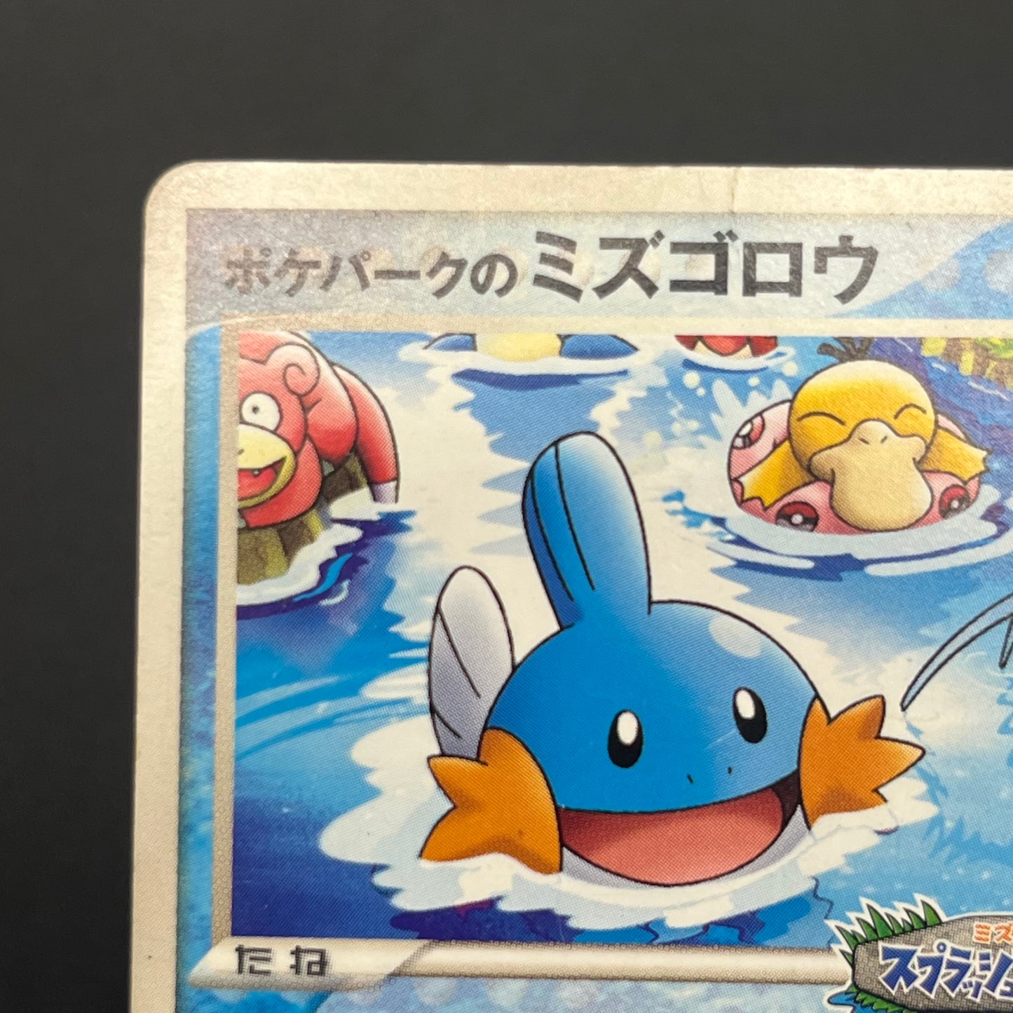 PokePark's Mudkip 048/PCG-P Promo Japanese Pokemon Card