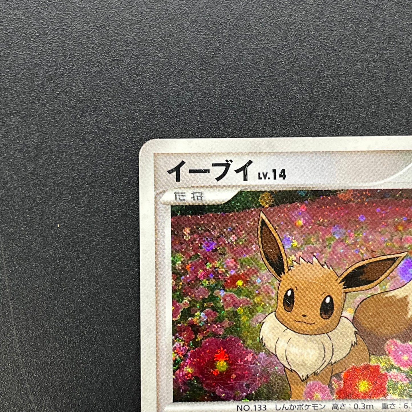 Eevee 063/DP-P Promo Trade Please event Pokémon Card