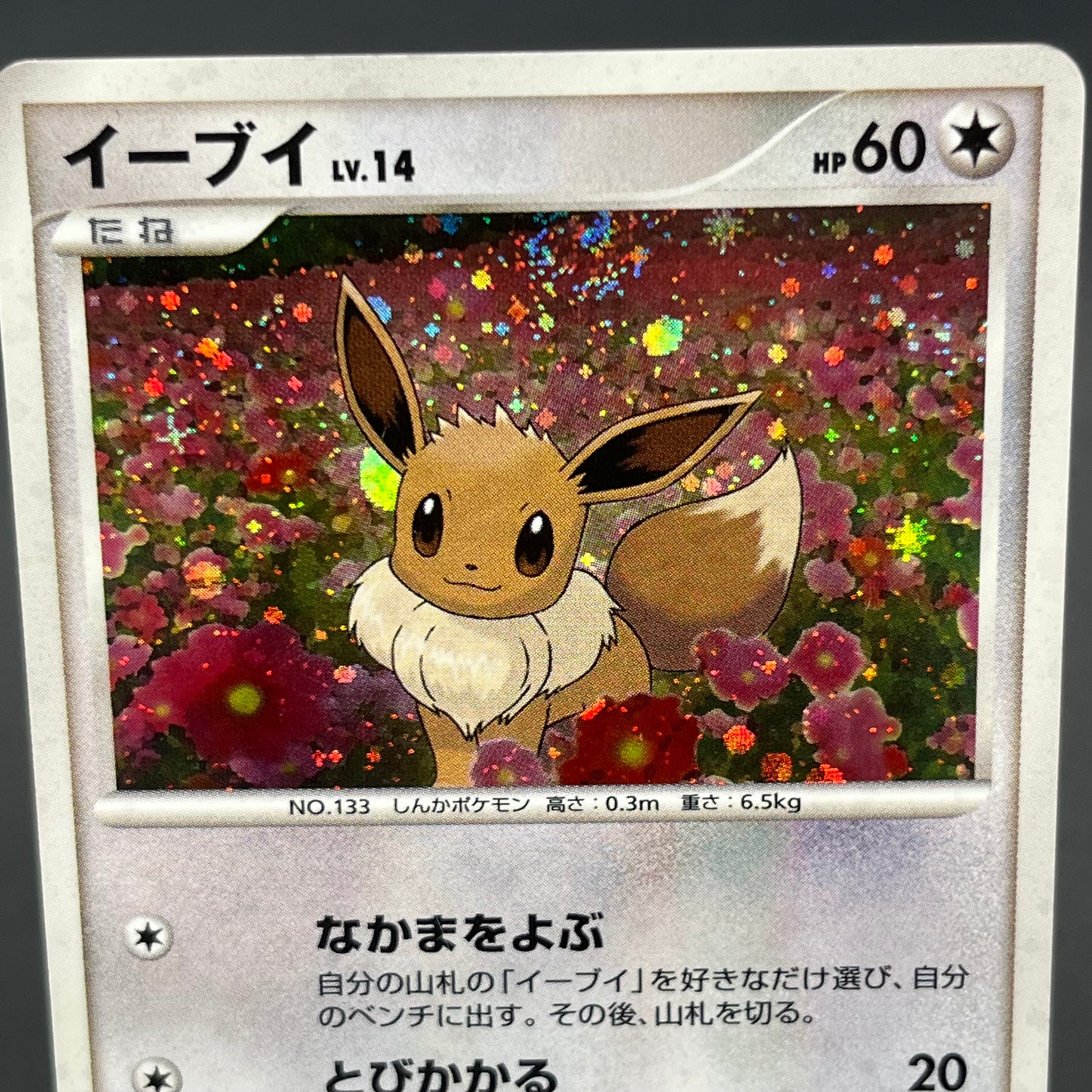Eevee 063/DP-P Promo Trade Please event Pokemon Card