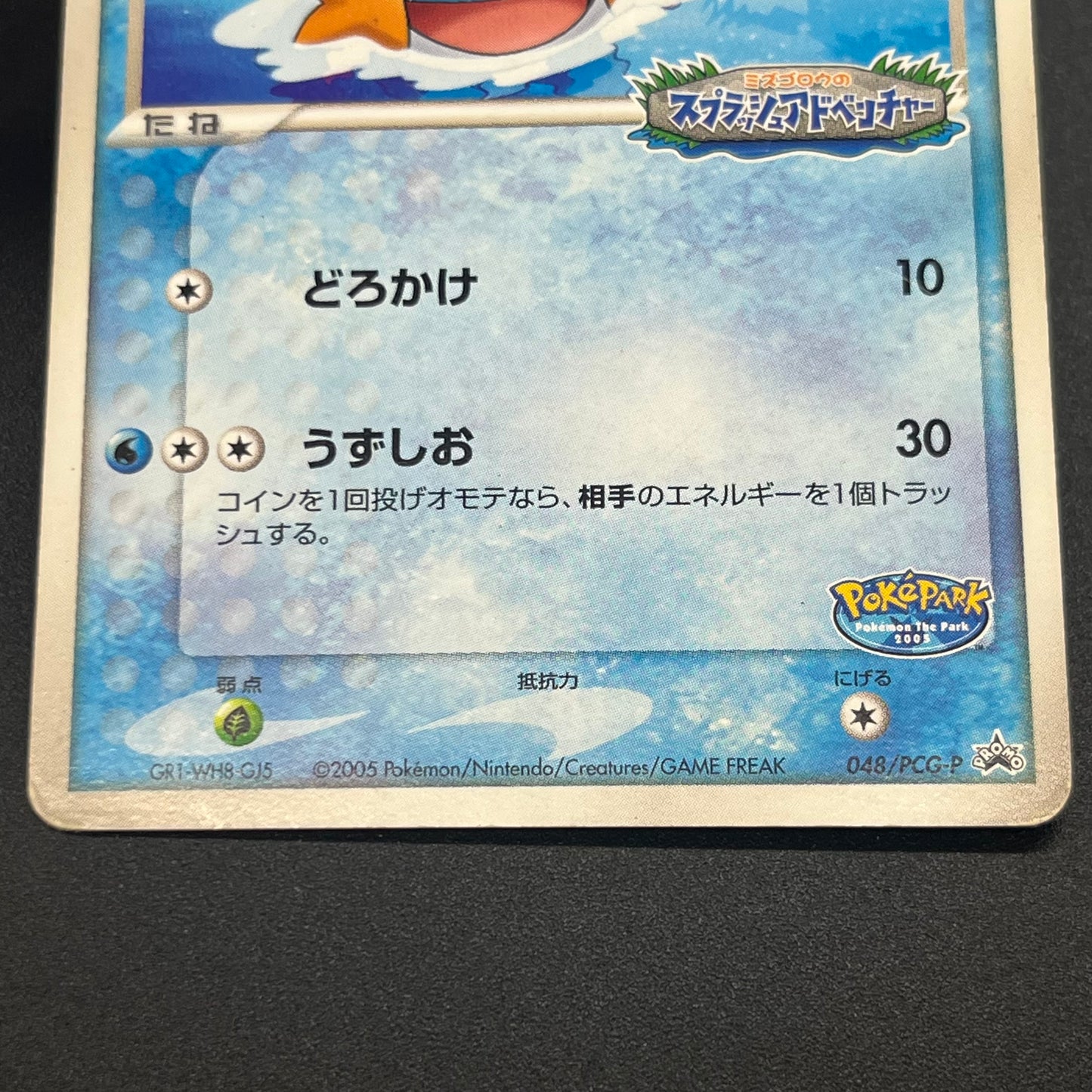 PokePark's Mudkip 048/PCG-P Promo Japanese Pokemon Card
