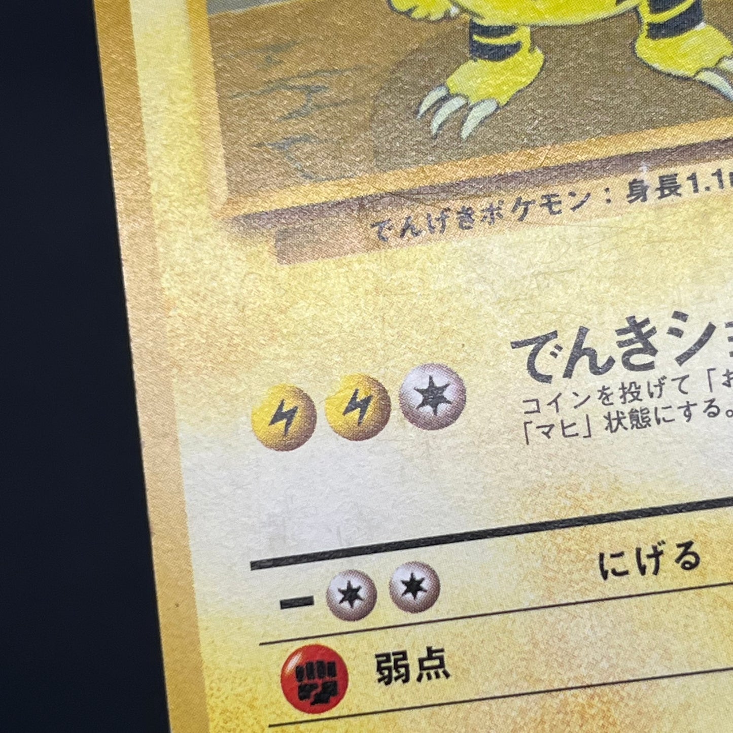 Electabuzz Intro Pack No.125 Bulbasaur Deck Pokémon Card