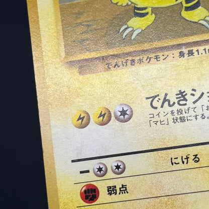 Electabuzz Intro Pack No.125 Bulbasaur Deck Pokémon Card