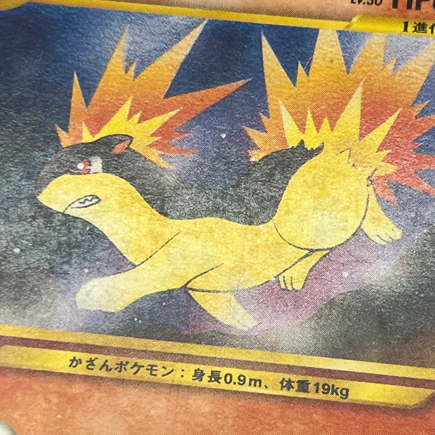 Quilava 156 Intro Pack Chikorita Half Deck Pokémon Card