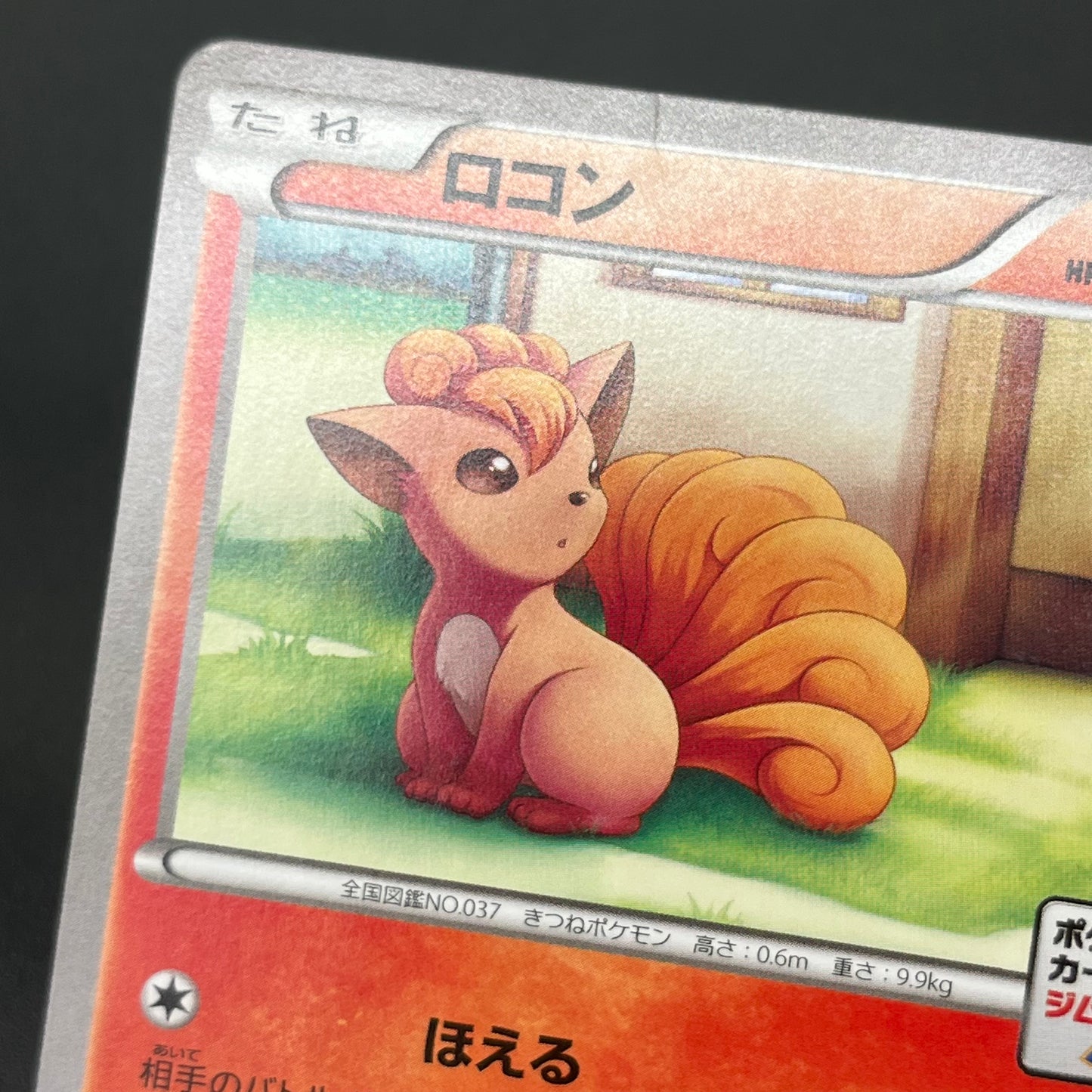 Vulpix 110/XY-P Promo Gym 4th MP Japanese Pokémon Card