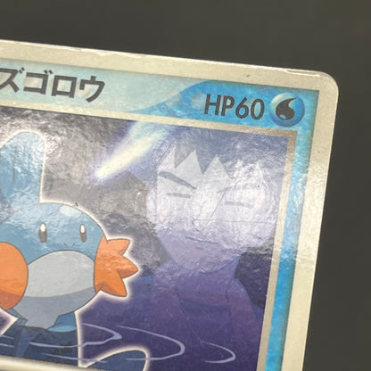 Brock's Mudkip 038/ADV-P Marshtomp Swampert Promo Card