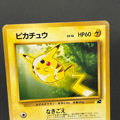 Pikachu No. 025 Intro Pack Bulbasaur Deck Pokémon Card