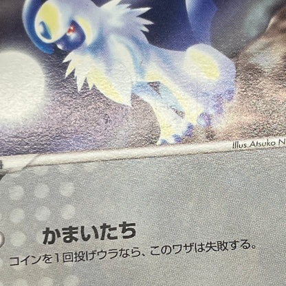 Forina's Absol 040/ADV-P Promo Gym Official Lottery Card