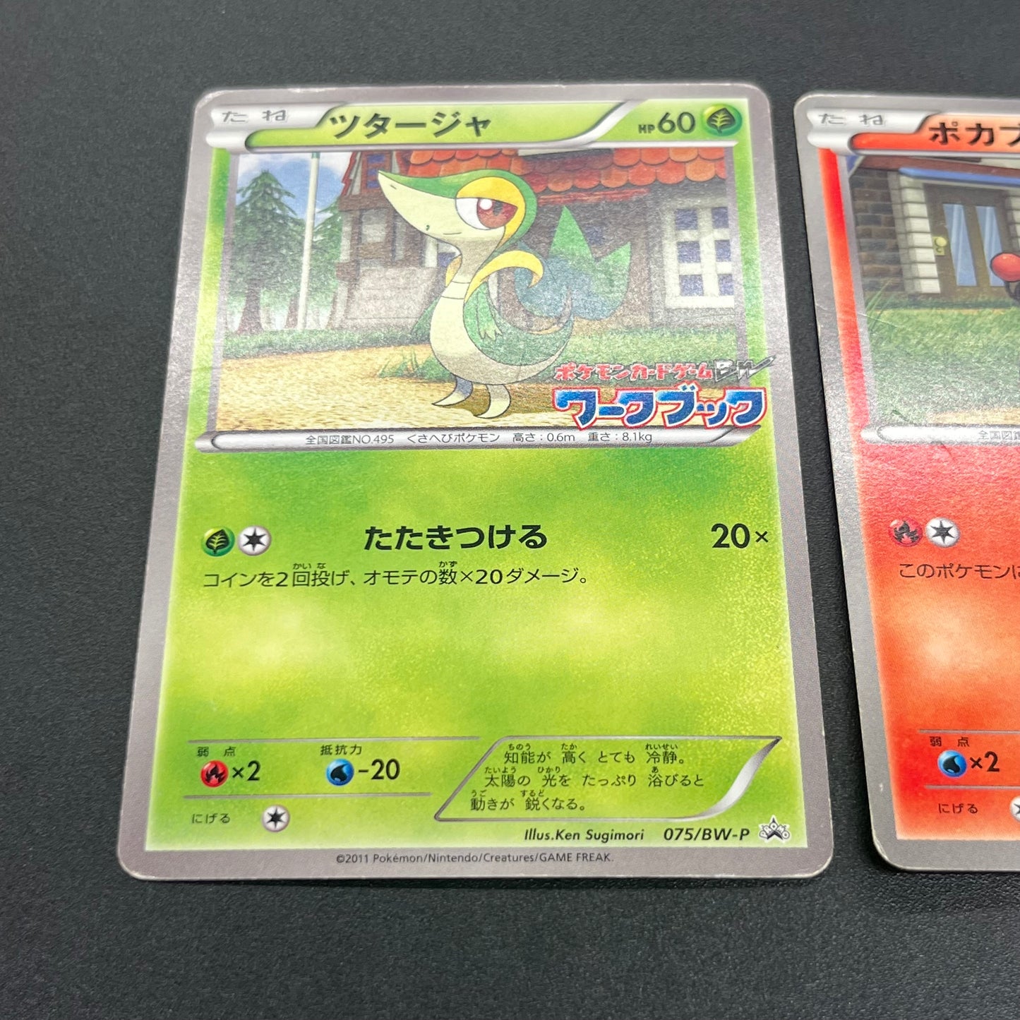 Oshawott Tepig Snivy BW-P Workbook Promo 3set Pokemon Card