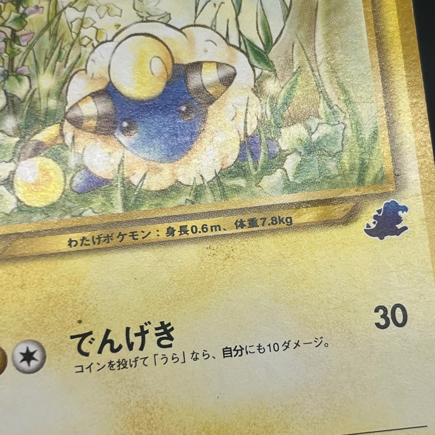 Mareep No. 179 Intro Pack Totodile Deck Pokémon Card