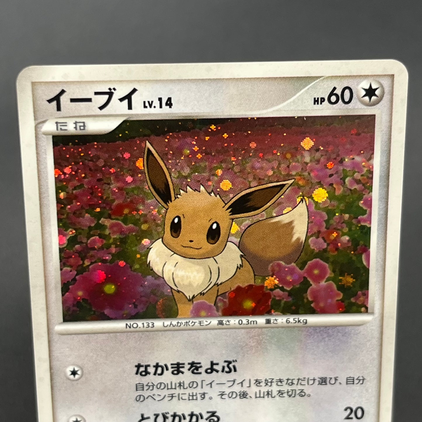 Eevee 063/DP-P Promo Trade Please event Pokemon Card