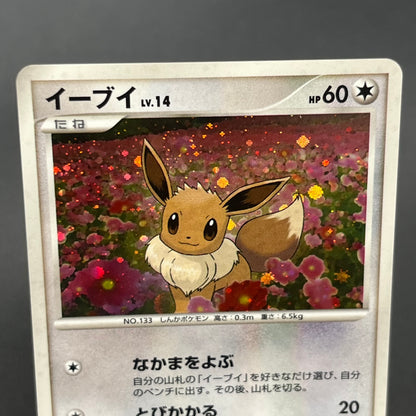 Eevee 063/DP-P Promo Trade Please event Pokemon Card
