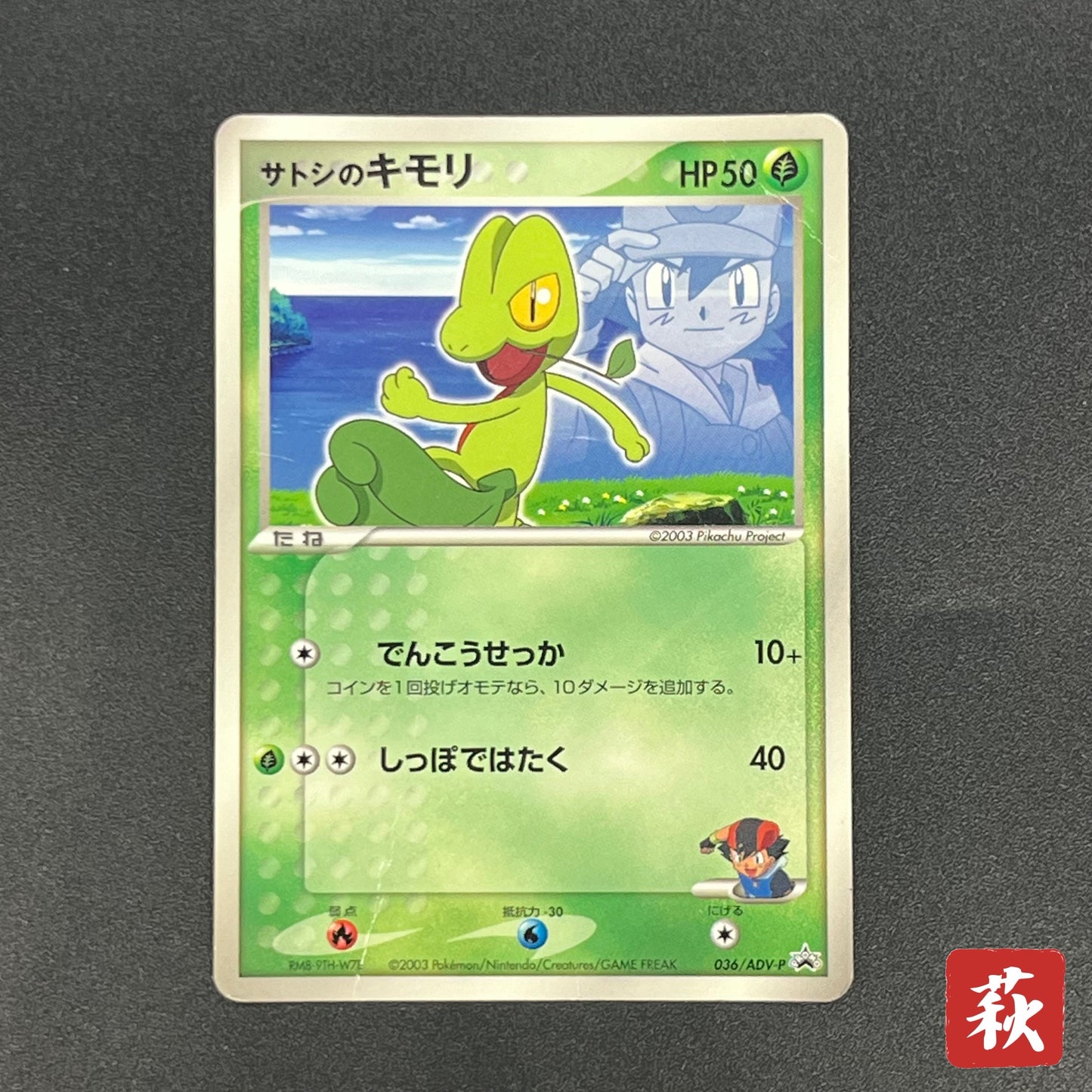 Ash's Treecko 036/ADV-P Shogakukan Promo Pokémon Card