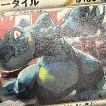 Feraligatr 002/L-P HeartGold SoulSilver Promo Pokémon Card