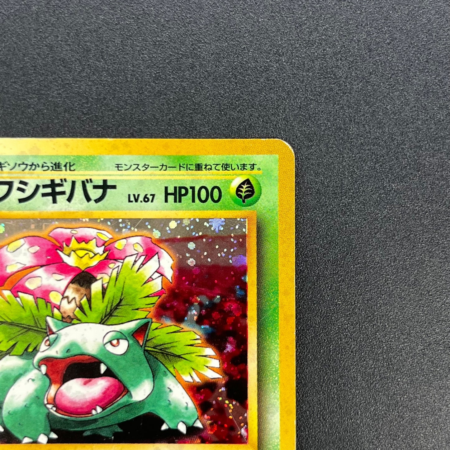 Venusaur 003 Intro Pack Bulbasaur Deck Holo Pokemon Card