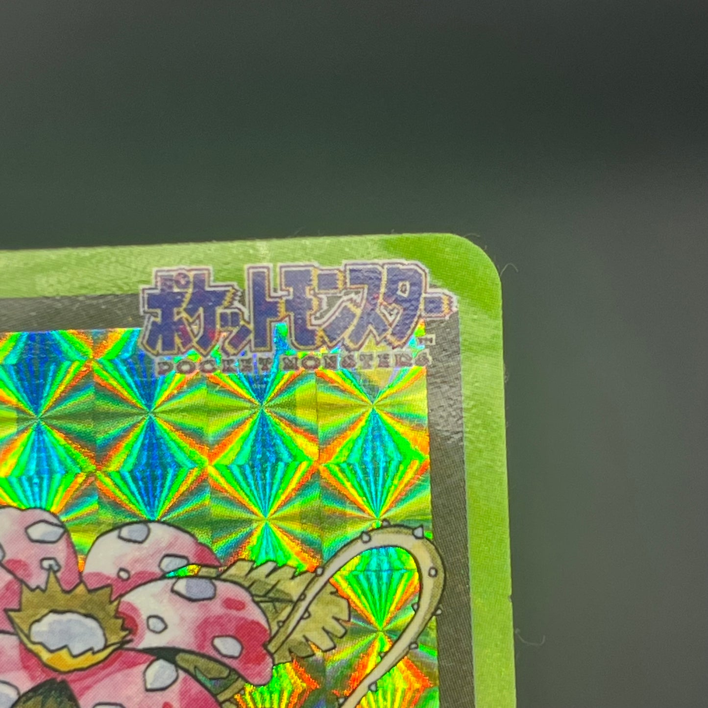 Blastoise Venusaur Bandai Carddass Holo Pokémon Card