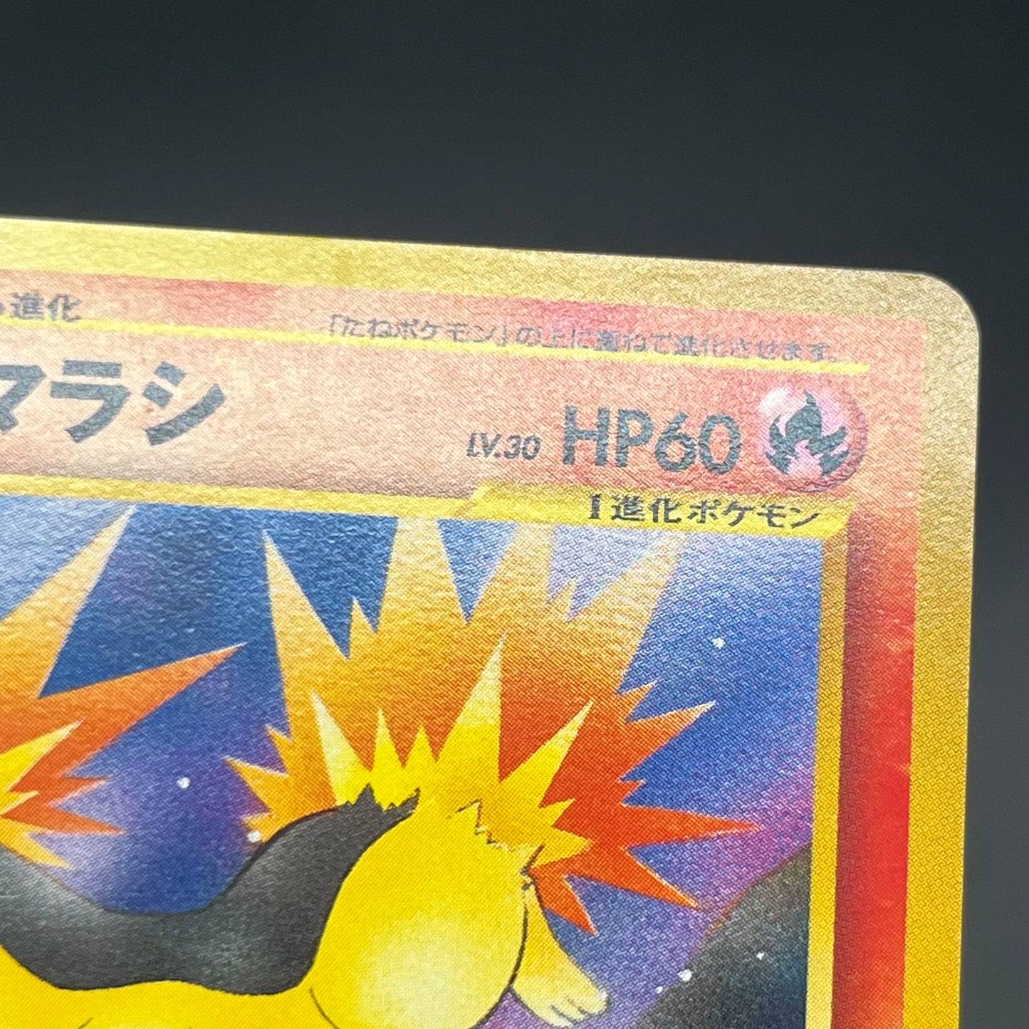 Quilava 156 Intro Pack Chikorita Half Deck Pokémon Card