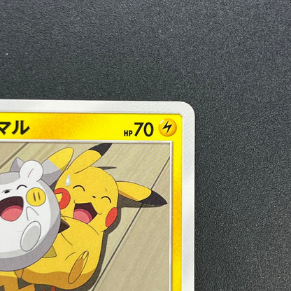 Togedemaru 006/026 Ash vs Team Rocket Pokemon Card