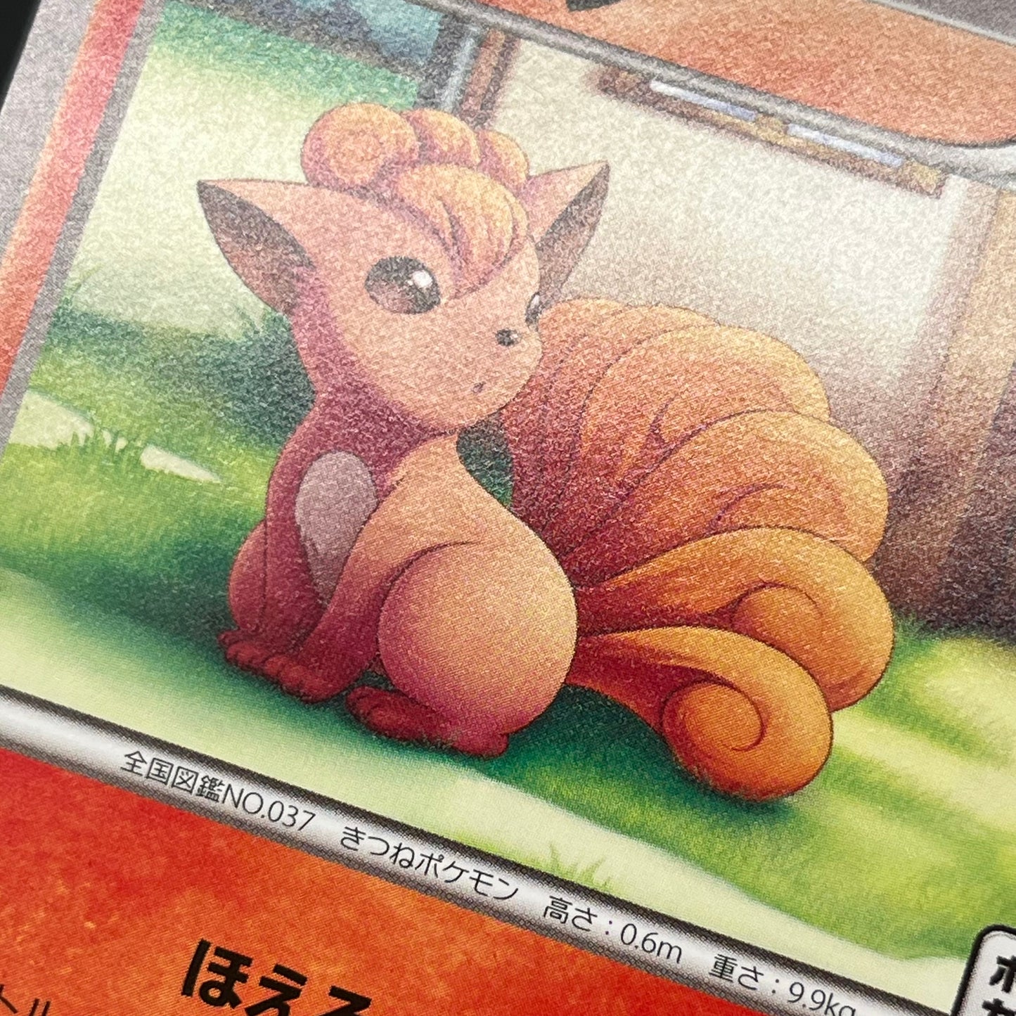 Vulpix 110/XY-P Promo Gym 4th Japanese Pokémon Card