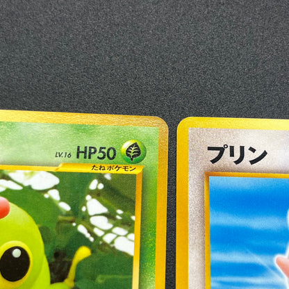 Pokemon Card Yuka Morii Old Back Caterpie 5 Set Japanese