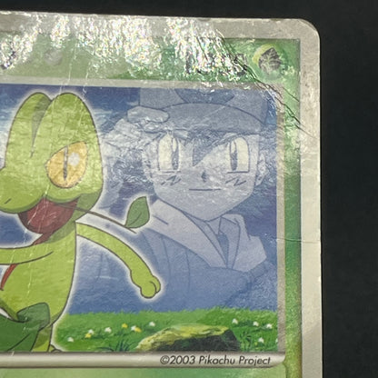 Ash's Treecko 036/ADV-P Shogakukan Promo Pokémon Card
