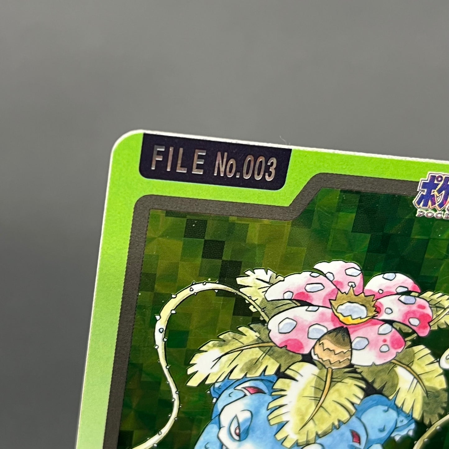Blastoise Venusaur Bandai Carddass Holo Japanese Card
