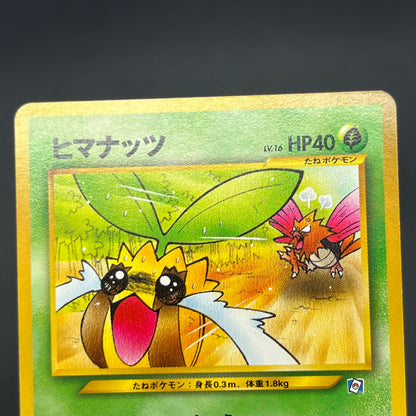Sunkern 191 Natta Wake Vol.4 LP Promo Vintage Pokémon Card
