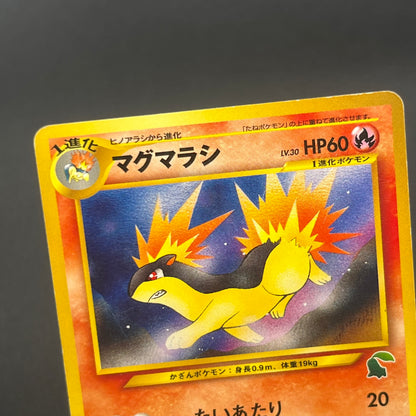 Quilava 156 Intro Pack Chikorita Half Deck Pokémon Card