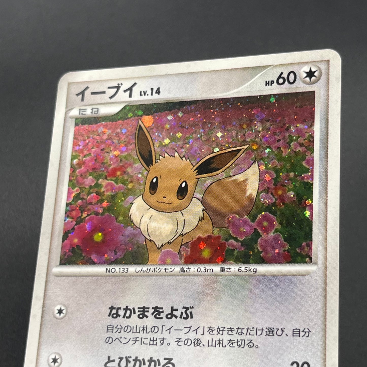 Eevee 063/DP-P Promo Trade Please event Pokemon Card