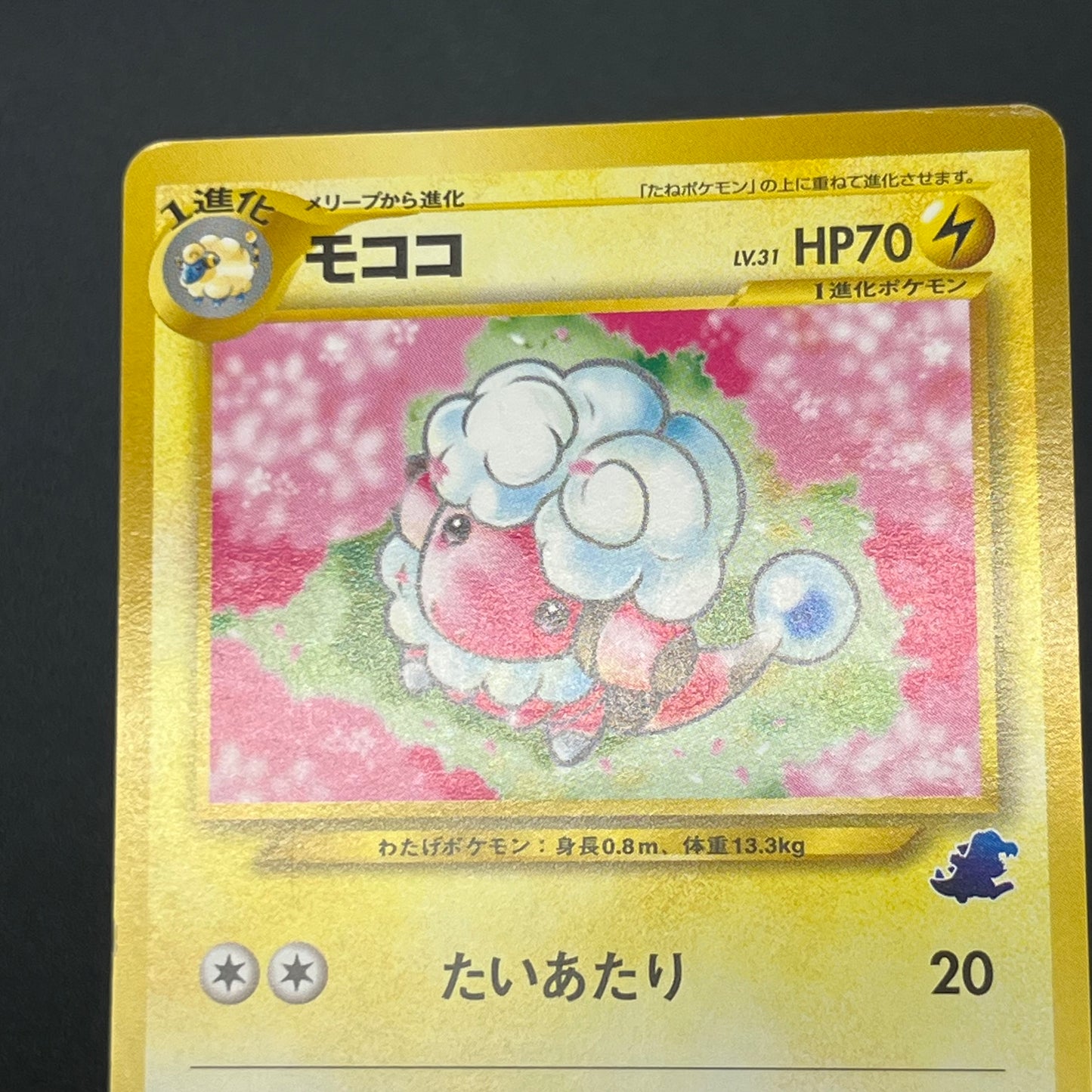 Flaaffy Mareep Intro Pack Totodile Deck 2set Pokémon Card