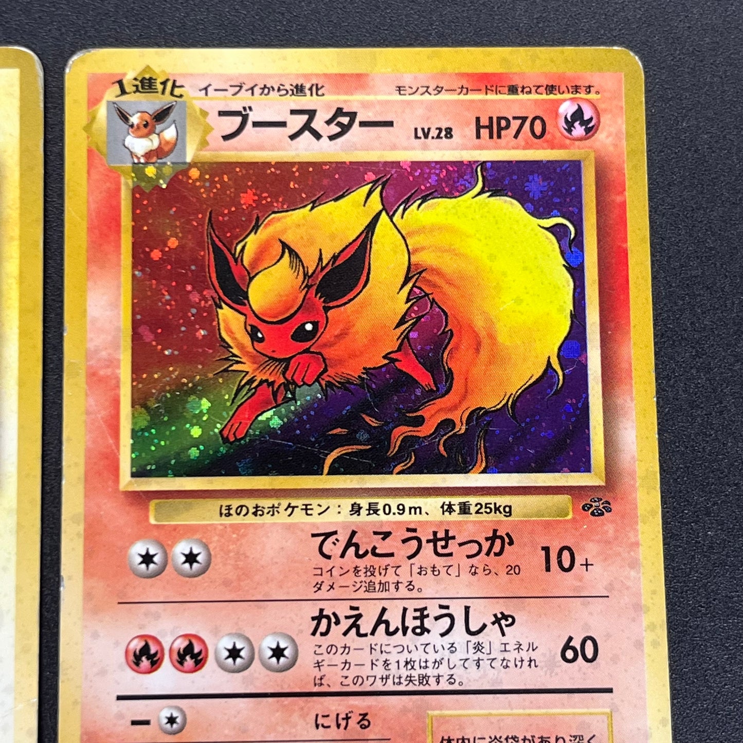 Jolteon Vaporeon Flareon Jungle Holo Old Back Pokémon Card