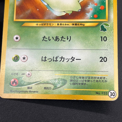 Chikorita No. 152 Intro Pack Promo Half Deck Pokémon Card