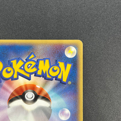 PokePark's Mudkip 048/PCG-P Promo Japanese Pokemon Card