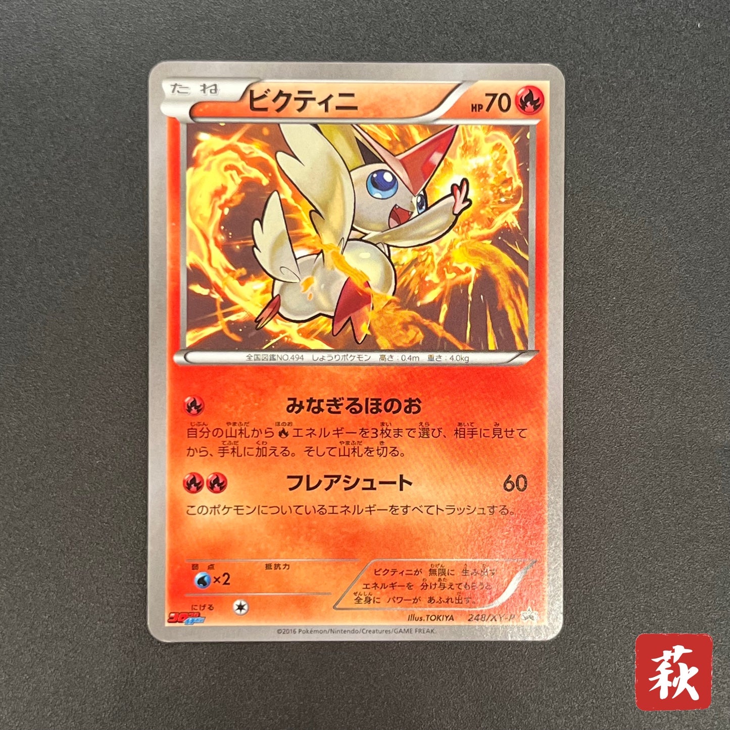 Victini 248/XY-P XY CoroCoro Ichiban! Promo Pokemon Card
