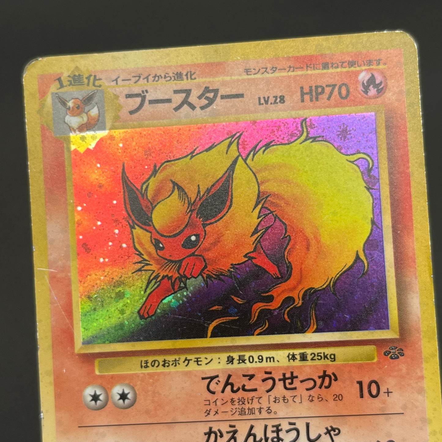 Jolteon Vaporeon Flareon Jungle Holo Old Back Pokémon Card