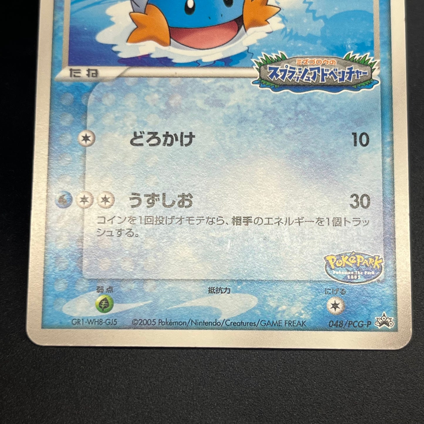 PokePark's Mudkip 048/PCG-P Promo Japanese Pokemon Card